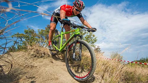 Top 20 mountain bikes