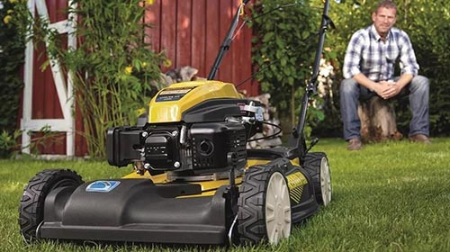 Top 15 gasoline mowers